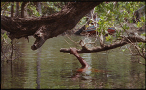 Zbliżenie na rzekę Amazonki. | A close-up of the Amazon River.